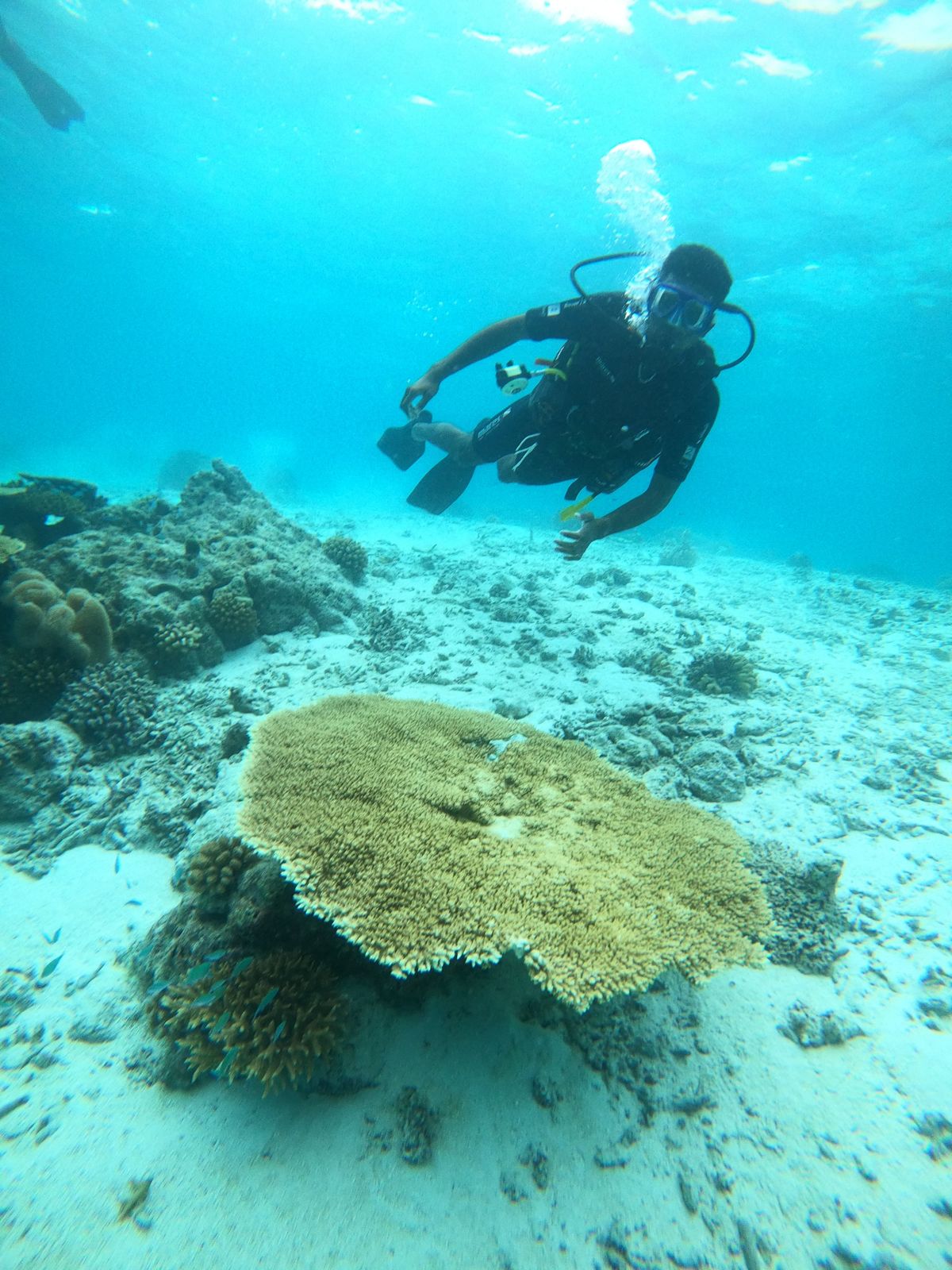 Manoj scuba diving over a table coral